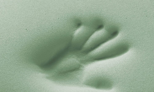 mano verde memory postural foam