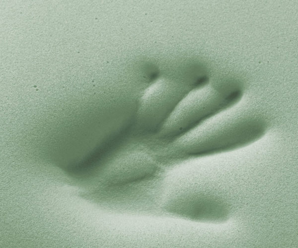 mano verde memory postural foam mano verde memory postural foam