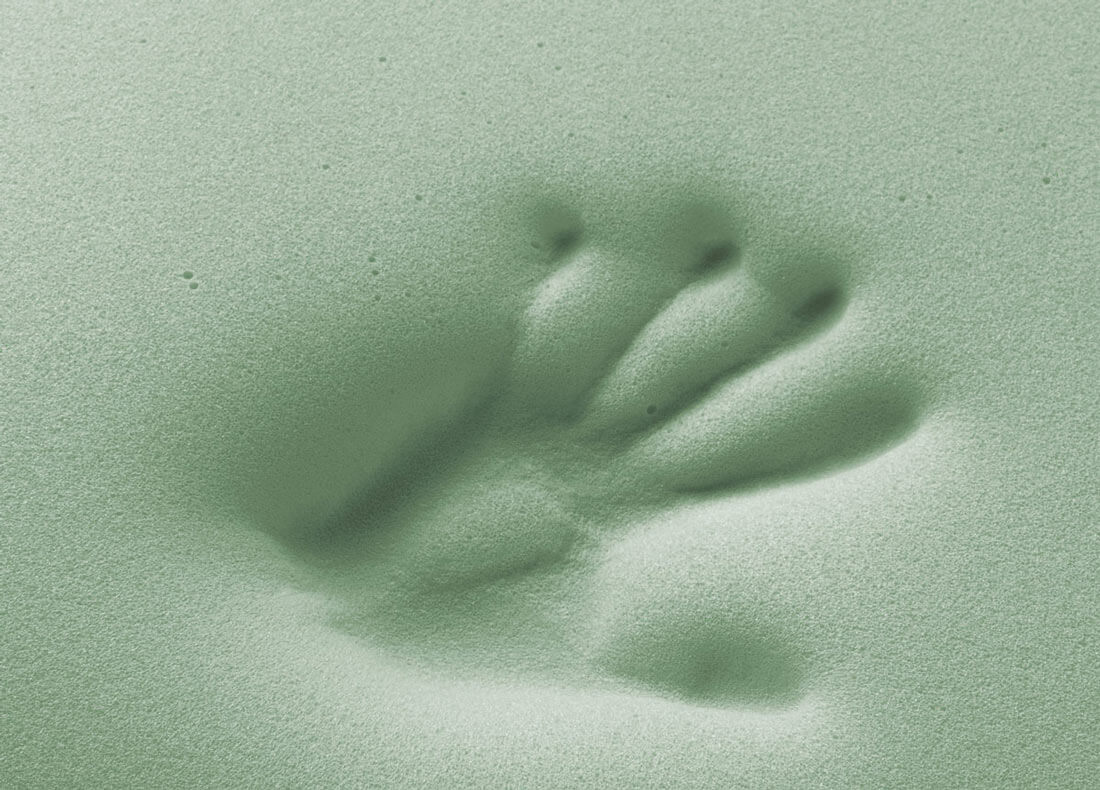 mano verde memory soya foam