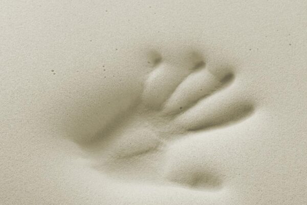 mano bianca materasso memory basic foam mano bianca materasso memory basic foam